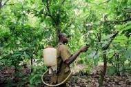 ado pesticides